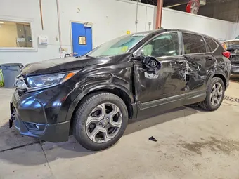 2019 Honda CR-V 7FARW2H57KE010017 Lot 50819756