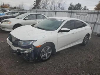 2021 Honda Civic 2HGFC2F51MH003525 Lot 79725945