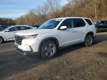 2025 Honda Pilot 5FNYG1H44SB066387 Lot 49871656