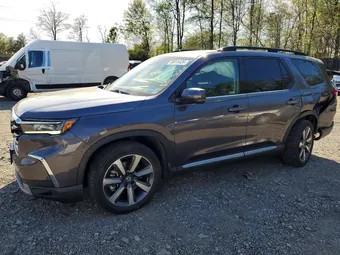 2024 Honda Pilot 5FNYG1H75RB004436 Lot 50015426