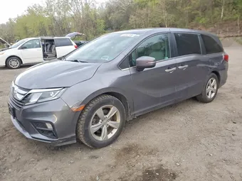 2019 Honda Odyssey 5FNRL6H73KB083009 Lot 50397106