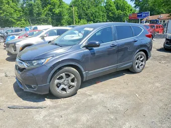 2019 Honda CR-V 5J6RW1H50KA006481 Lot 53423966
