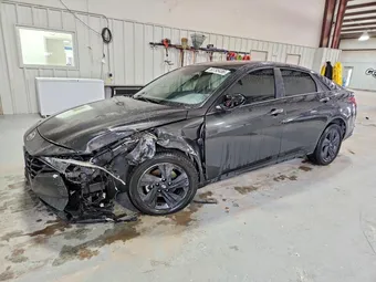 2023 Hyundai Elantra 5NPLM4AG1PH105146 Lot 50795486