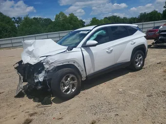 2024 Hyundai Tucson 5NMJBCDE9RH296963 Lot 51662226