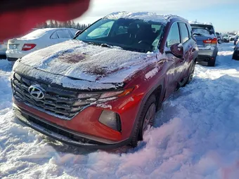 2022 Hyundai Tucson KM8JBCAE5NU133939 Lot 73993935