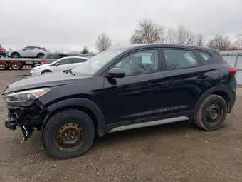 2017 Hyundai Tucson KM8J23A42HU552441 Lot 50222846