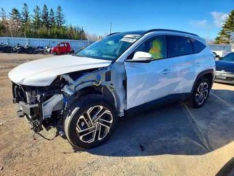 2025 Hyundai Tucson KM8JCDD12SU254614 Lot 50068076