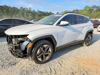 2025 Hyundai Tucson KM8JCDD14SU310987 Lot 51132226
