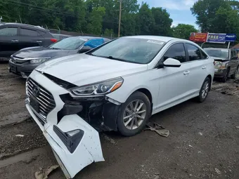 2019 Hyundai Sonata 5NPE24AF2KH796783 Lot 55264986