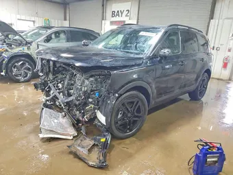 2025 Kia Telluride 5XYP3DGC8SG702254