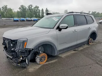 2025 Kia Telluride 5XYP5DGC8SG706900