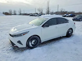 2022 Kia Forte 3KPF44ACXNE466872 Lot 55239866