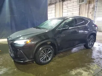 2024 Lexus NX 350 2T2AGCEZ2RC055136
