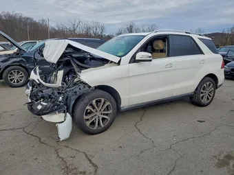 2016 Mercedes-Benz GLE-Class 4JGDA5HB6GA738676 Lot 93495905