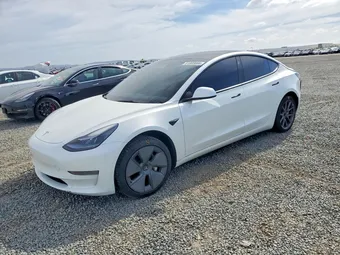 2023 Tesla Model 3 5YJ3E1EA7PF466459 Lot 51805666