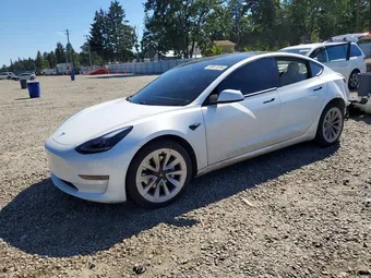 2021 Tesla Model 3 5YJ3E1EAXMF978079 Lot 53411976