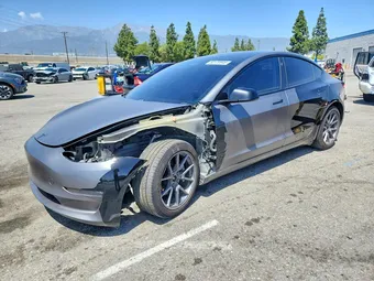 2021 Tesla Model 3 5YJ3E1EB3MF074034 Lot 50179946