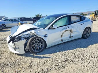 2023 Tesla Model 3 5YJ3E1EA2PF545988 Lot 53769656