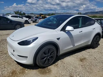 2024 Tesla Model Y 7SAYGDEE8RF185636 Lot 51249676