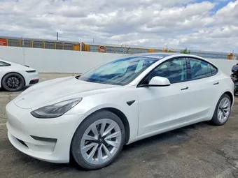 2021 Tesla Model 3 5YJ3E1EA2MF031909 Lot 50360076