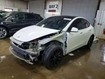 2023 Tesla Model Y 7SAYGDEE9PF807979 Lot 49302286