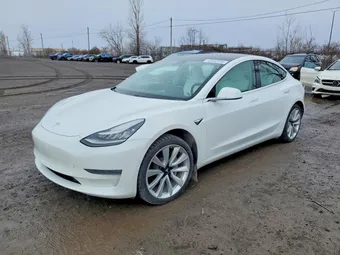 2019 Tesla Model 3 5YJ3E1EA2KF419462 Lot 48582036