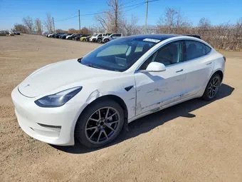 2020 Tesla Model 3 5YJ3E1EA5LF529391 Lot 51252256