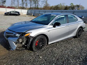 2019 Toyota Camry 4T1B11HK2KU830228 Lot 45823876