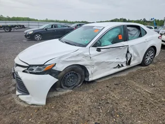 2018 Toyota Camry 4T1B31HK8JU505950 Lot 52496856
