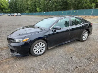 2019 Toyota Camry 4T1B11HK4KU205281 Lot 52542386