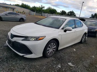2019 Toyota Camry 4T1B31HK3KU514282 Lot 49561986