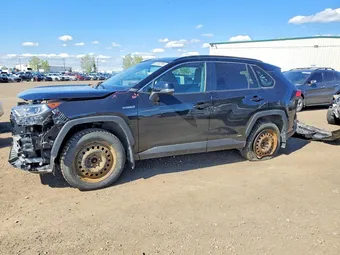 2020 Toyota RAV4 2T3RWRFV3LW099216 Lot 52083296