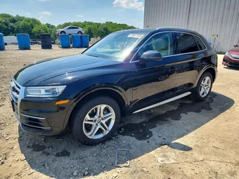 2019 Audi Q5 WA1ANAFY1K2054109 Lot 53557486