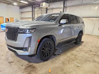 2023 Cadillac Escalade 1GYS4BKL1PR364590 Lot 52354496