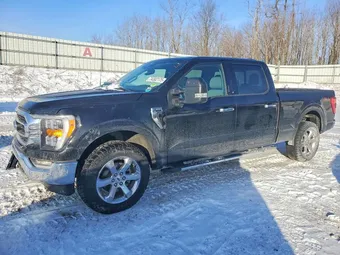 2021 Ford F-150 1FTFW1E53MFC79045 Lot 74302175