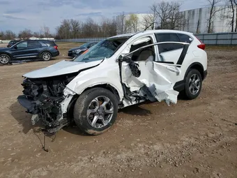 2019 Honda CR-V JHLRW2H88KX018271 Lot 49491566