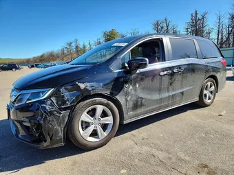 2020 Honda Odyssey 5FNRL6H74LB022043 Lot 51252416