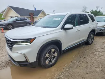 2024 Honda Pilot 5FNYG1H56RB011233 Lot 51637476