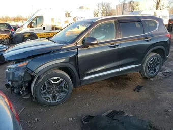 2023 Hyundai Santa Fe 5NMS4DAL3PH535931 Lot 79282125