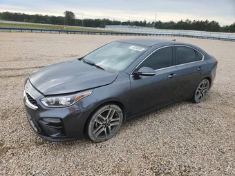 2019 Kia Forte 3KPF54AD9KE034145 Lot 48980096