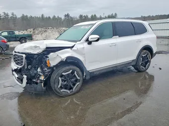 2024 Kia Telluride 5XYP6DGC7RG544863
