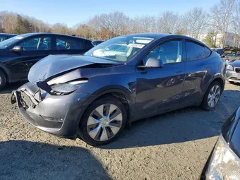 2023 Tesla Model Y 7SAYGDEE8PF860303 Lot 72669315