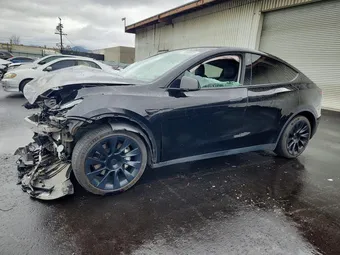 2023 Tesla Model Y 7SAYGDEE3PF589568 Lot 77598025