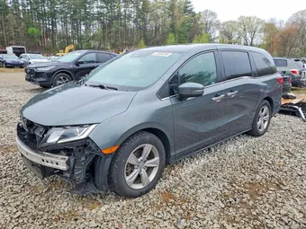 2019 Honda Odyssey 5FNRL6H77KB040213 Lot 52066396