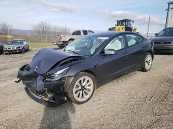 2021 Tesla Model 3 5YJ3E1EB8MF032510 Lot 80676314