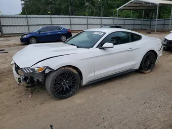 2017 Ford Mustang 1FA6P8AM9H5208128 Lot 51953556