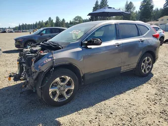 2019 Honda CR-V 5J6RW2H58KA008470 Lot 54978906