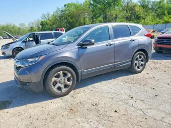 2019 Honda CR-V 5J6RW2H88KL031164 Lot 50941286