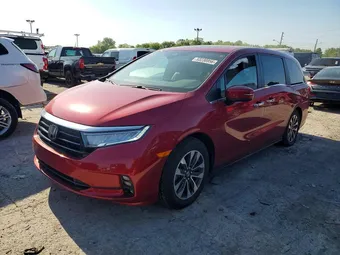 2021 Honda Odyssey 5FNRL6H75MB041024 Lot 53238956