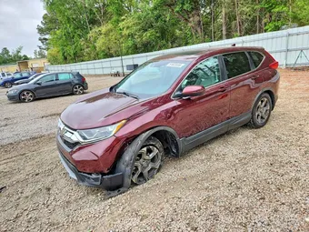 2019 Honda CR-V 5J6RW1H83KL006604 Lot 51823556